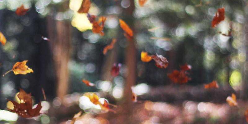 从焦虑到安心：情感咨询如何重塑你的依恋模式，收获健康亲密关系