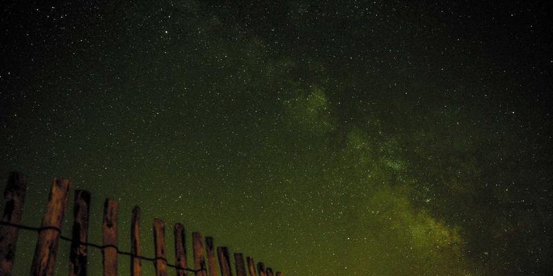 当爱遭遇风暴：专业情感咨询如何帮助伴侣携手渡过重大疾病危机