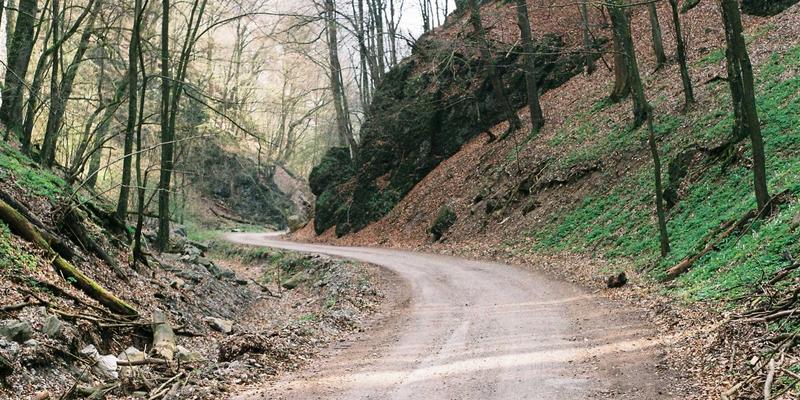 用科学打破情感困局:认知行为疗法如何帮你重塑恋爱思维,实现高效脱单