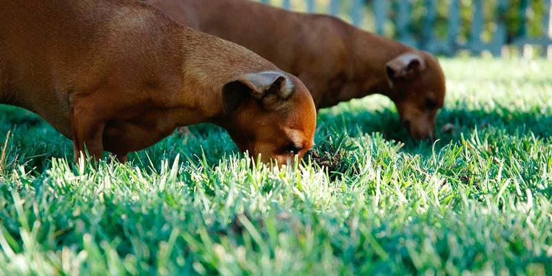 退休后婚姻危机？情感咨询师教你三招重塑夫妻关系，应对“银发离婚潮”